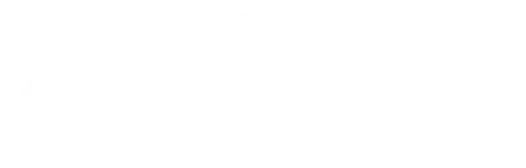 zoom logo